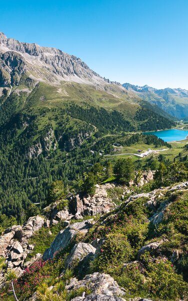 Blick auf den See, Berglandschaft, Wiesen | © Roter Rucksack