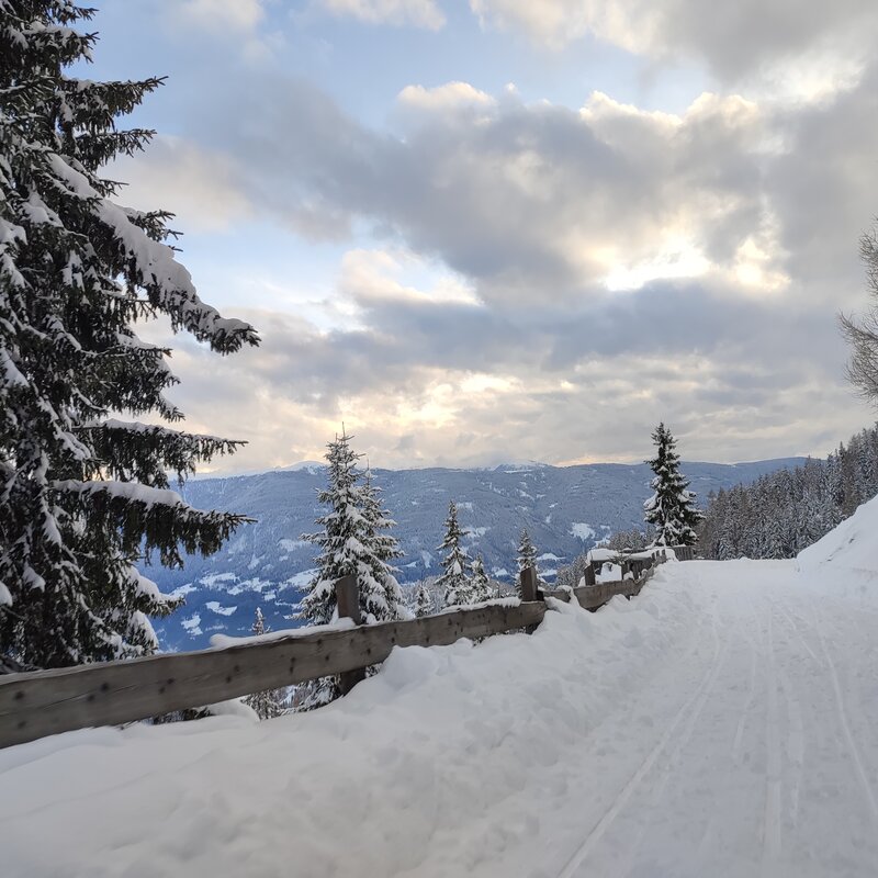 Wanderweg | © Moarhofalm