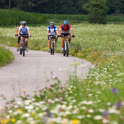 Vier Fahrradfahrer | © Georg Tappeiner