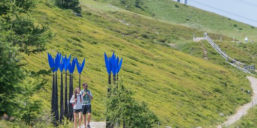 Zwei Menschen wandern durch  einen Pfad mit künstlichen übergroßen blauen Blumen unterhalb der Bergstation.